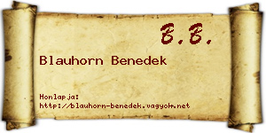 Blauhorn Benedek névjegykártya
