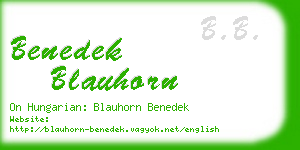 benedek blauhorn business card